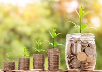 How to Create a Diversified Portfolio: A Beginner's Guide to Managing Risk