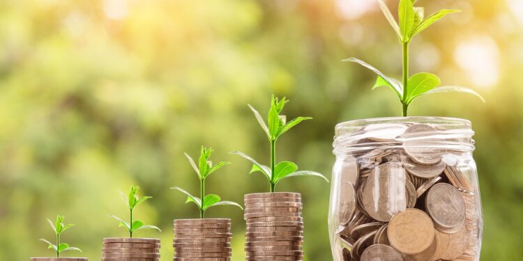 How to Create a Diversified Portfolio: A Beginner's Guide to Managing Risk